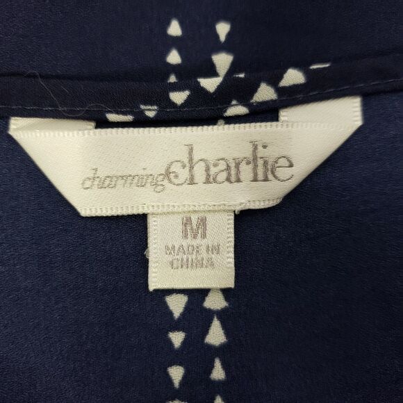 Charming Charlie Womens Blouse Size Medium M Blue Sheer Long Sleeve Tie Neck - Picture 9 of 11